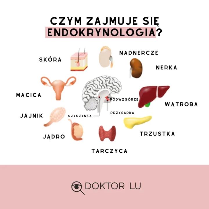 Czujesz, że ćwiczysz, ale nie widzisz efektów? Sprawdź, czy endokrynolog może pomóc!