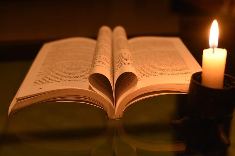 Ukryte składniki odzwierzęce w produktach roślinnych